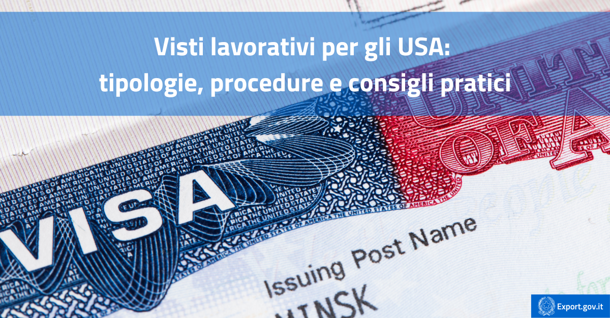 Visti lavorativi per gli USA tipologie, procedure e consigli pratici-cover