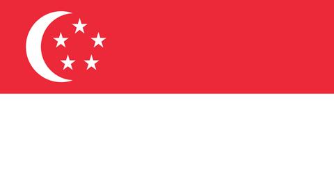 singapore flag