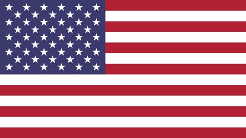 stati_uniti_america flag