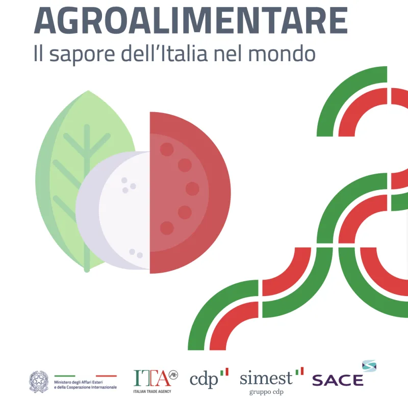Infografiche del Sistema Italia